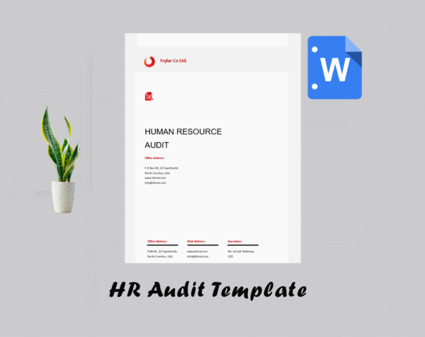 HR Audit Template