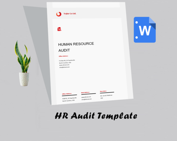 HR Audit Template - Image 2