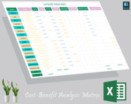 COST BENEFIT ANALYSIS MATRIX visual data 3