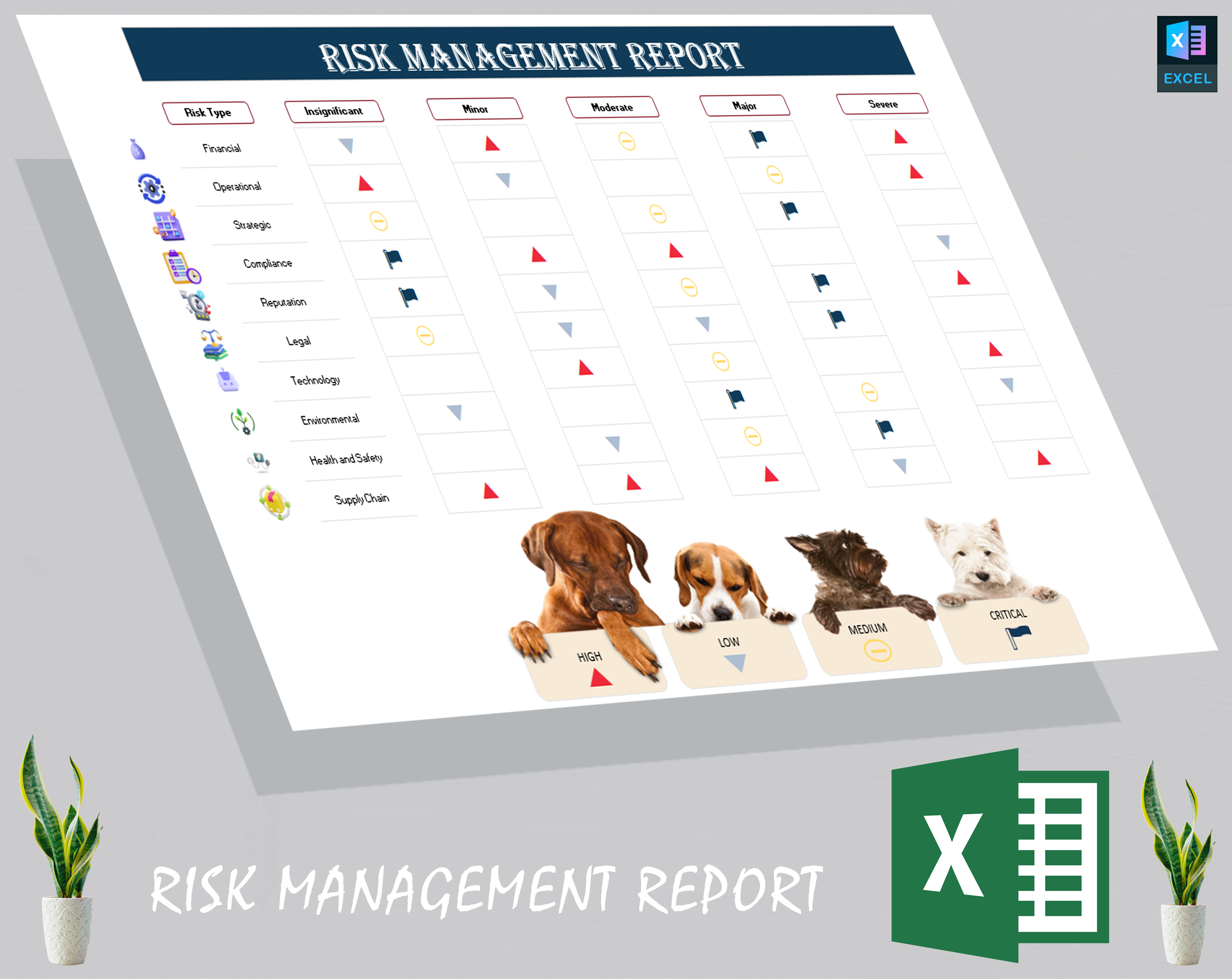 Risk management report