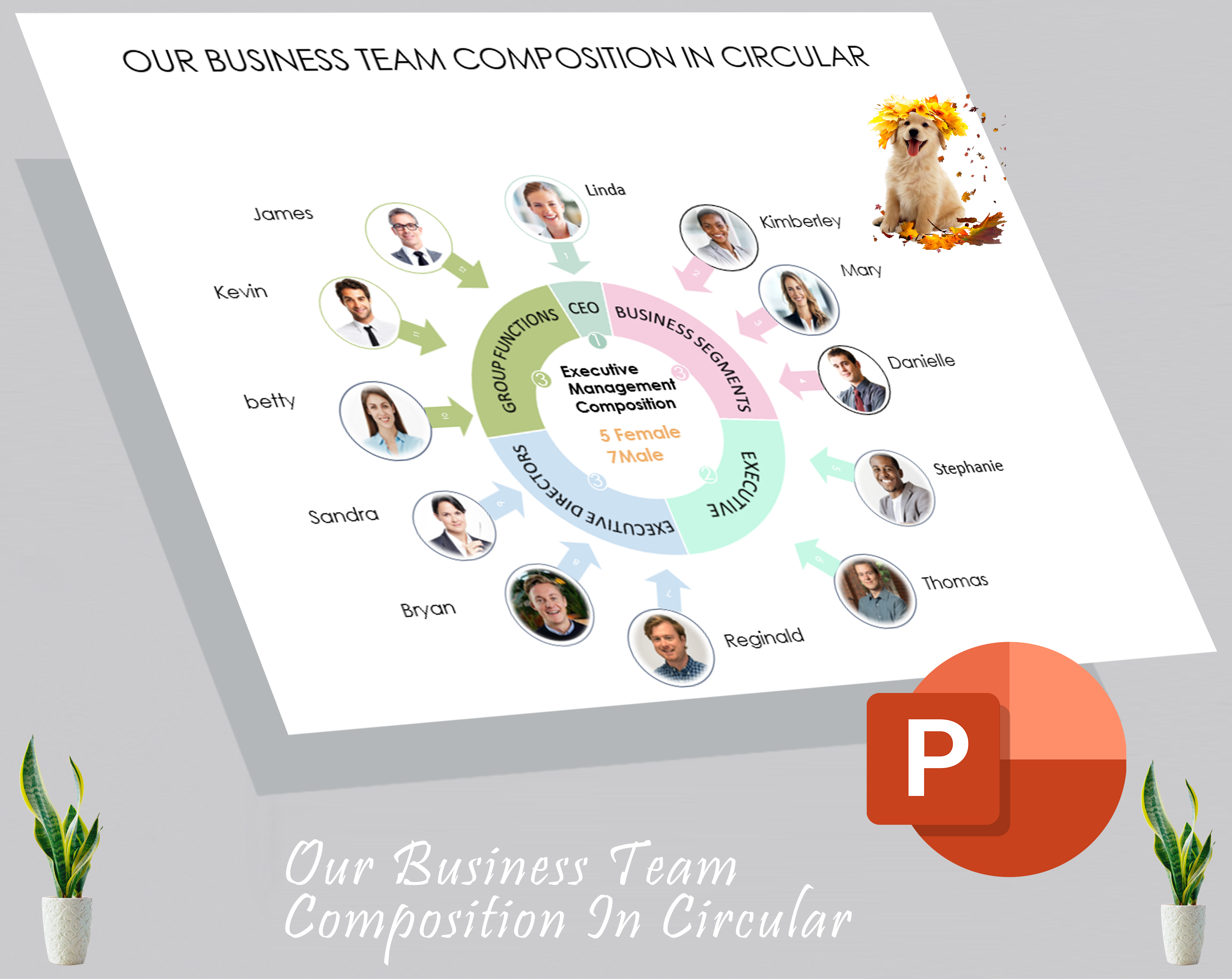 Our Business Team Composition In circular
