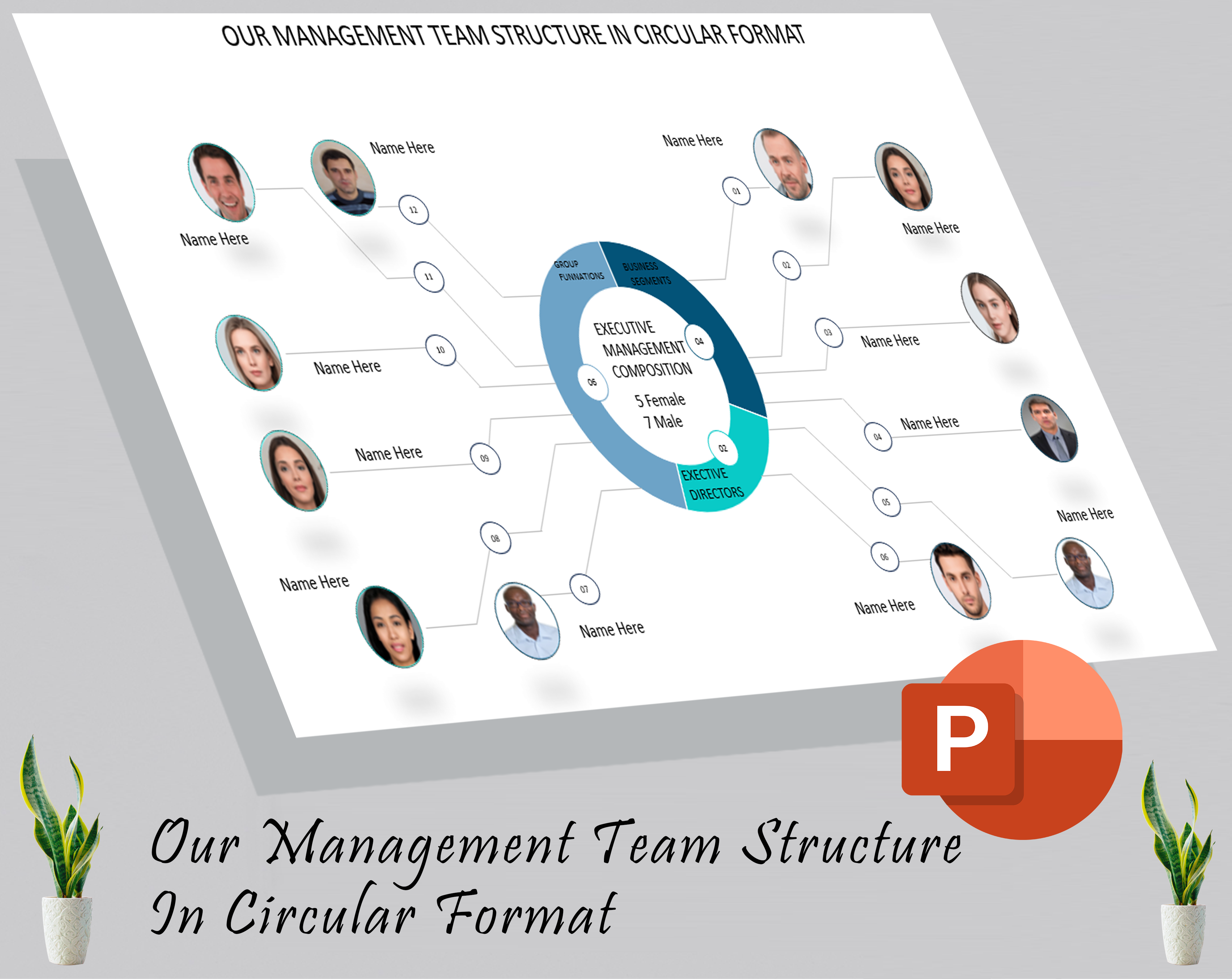 Our management team structure in circular format