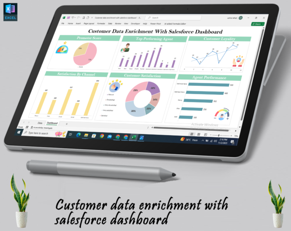 Customer data enrichment with salesforce dashboard - Image 3