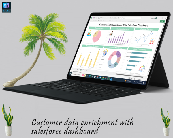 Customer data enrichment with salesforce dashboard - Image 4