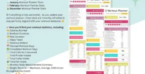 Fitness planner progress dashboard with performance score
